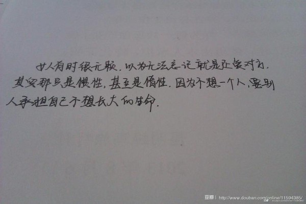 有关爱生活爱自己的句子的句子摘抄（以爱生活爱自己）
