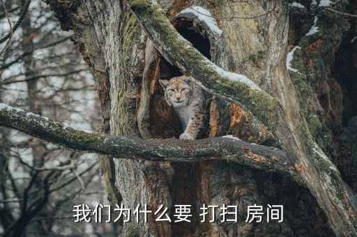 我们为什么要 打扫 房间