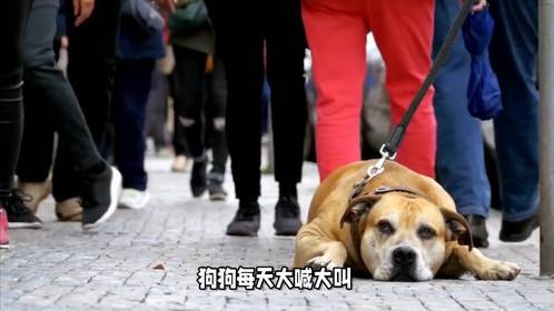 阳谋制胜：如何用集体力量破解个人困境？不是所有战斗需正面交锋
