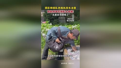 摄影师排队把相机放水池里，拍的绣球花倒影太惊艳!“太适合当壁纸了”
