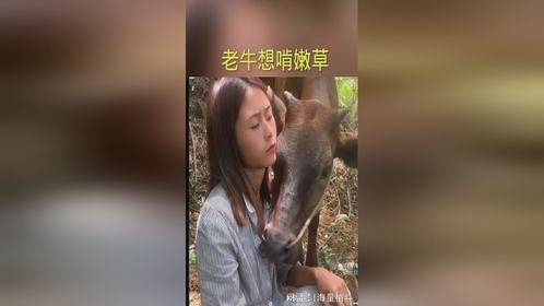 老牛想啃嫩草，有股奶腥味