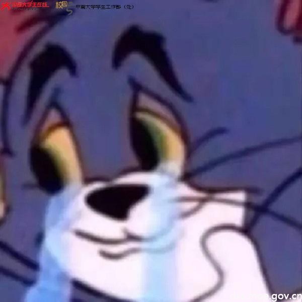 8.webp.jpg