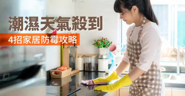 i House-潮湿天气杀到 4招家居防霉攻略-House730
