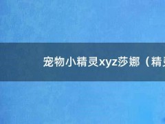 宠物小精灵xyz莎娜（精灵宝可梦xy莎丽娜）