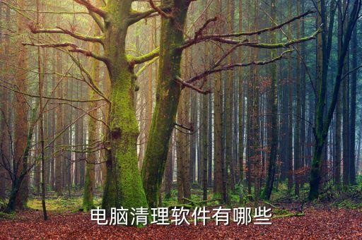电脑清理软件有哪些