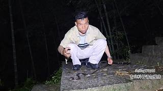 浙江行第一站,期待新蛇种-片段2