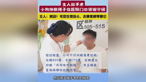 狗狗在医院门口徘徊守护生病的主人