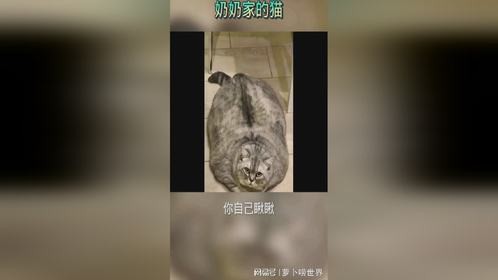 有这专业的手法，不去养猪可惜了！