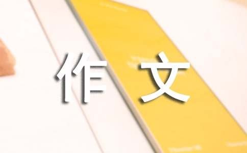 关于网络安全作文（通用16篇）