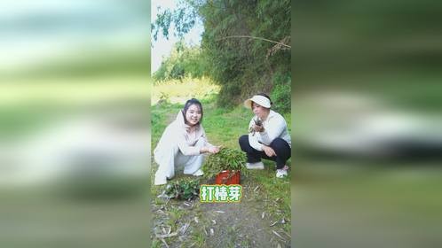 这真是块风水宝地，椿芽、折耳根、蕨菜全都有， 小八收获满满