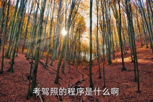 考驾照的程序是什么啊