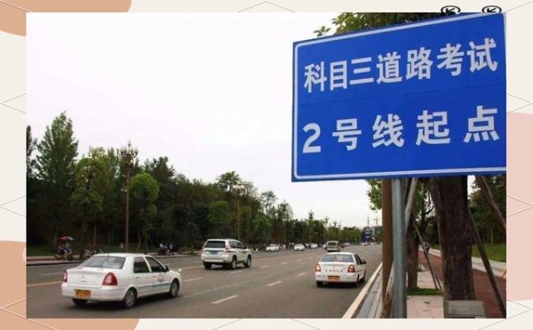 驾照考试难题：从挑战到不公正的考验-有驾