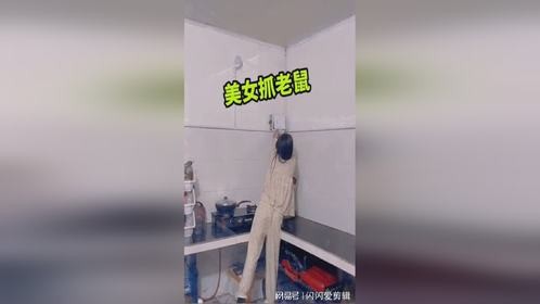 美女抓老鼠，一点都不害怕！