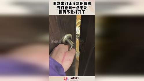 朋友出门让我帮他喂猫，开门看到一点毛发，瞬间不敢打开了！