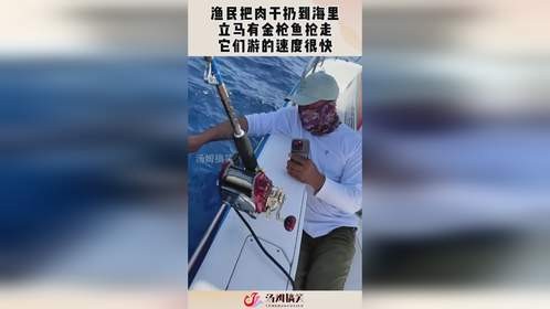 渔民把肉干扔到海里，立马有金枪鱼抢走，它们游的速度很快！
