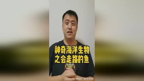 神奇海洋生物之四种会走路的鱼