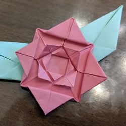 手工折纸扁平玫瑰花和叶子的折法图解