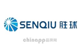 装饰灯十大品牌-SENQIU胜球