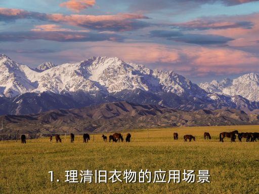 1. 理清旧衣物的应用场景