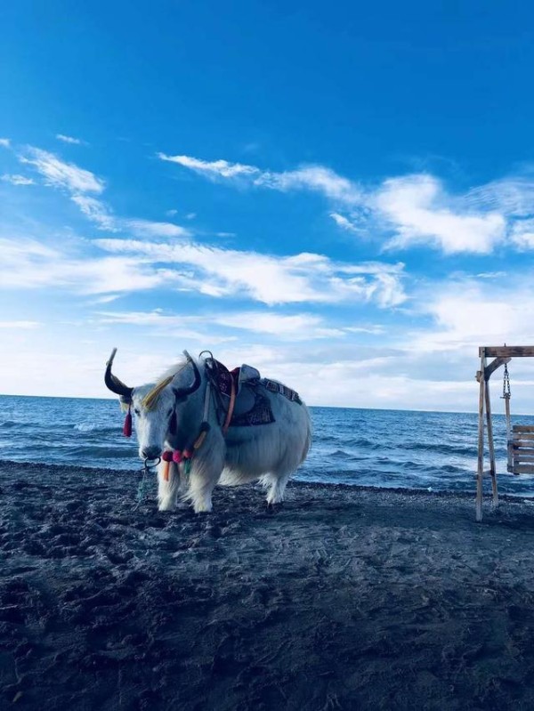 再穷也要去旅游！再累，也要学会享受生活