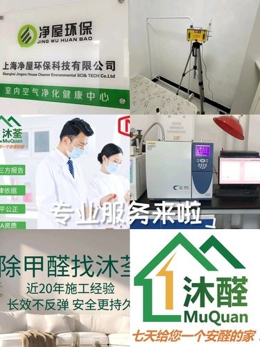 专业除甲醛
