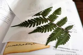 看一眼就会!这样DIY,装饰画谁还用得着买啊图片