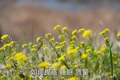 如何提高 睡眠 质量