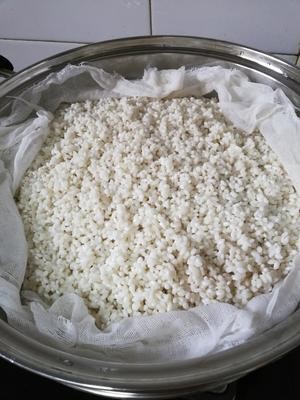 自制甜酒酿(不加糖就让酒酿超甜的秘密)的做法 步骤4