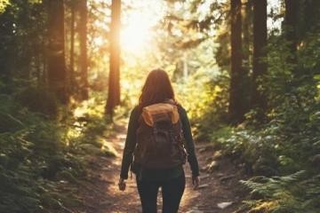 深探旅趣：行走诗意生活，揭秘旅行的心灵疗愈之旅