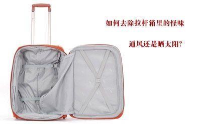 你房间里有股怪味吗？分享净化居室内空气的窍门！