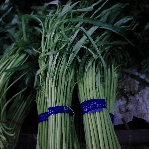 如何给菜板杀菌除霉