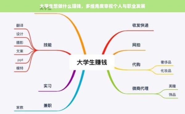 大学生想做什么赚钱，多维角度审视个人与职业发展