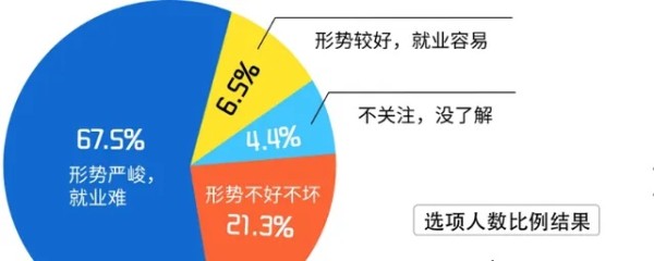 大学生想做什么赚钱，多维角度审视个人与职业发展