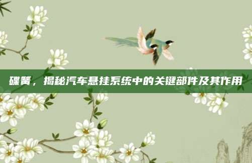 碟簧,揭秘汽车悬挂系统中的关键部件及其作用