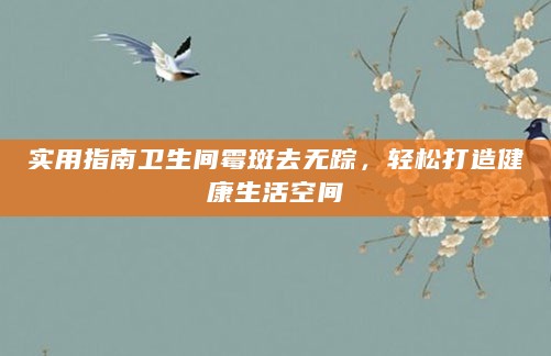 实用指南卫生间霉斑去无踪,轻松打造健康生活空间