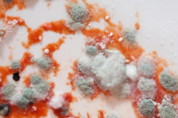 消灭卫生间、厨房霉菌，让家庭更健康！插图33