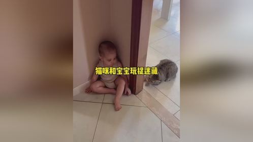 猫咪和宝宝玩捉迷藏猫咪和宝宝玩捉迷藏的迷惑行为
