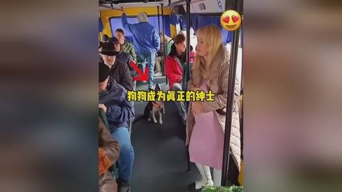 狗狗成为真正的绅士狗狗成为真正的绅士成精了的迷惑行为