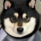 佩里