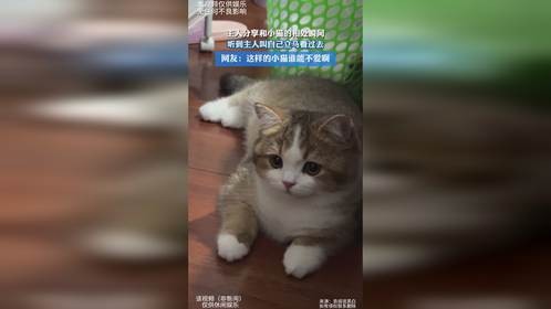 主人分享和小猫的相处瞬间，听到主人叫自己立马看过去，网友：这样的小猫谁能不爱啊