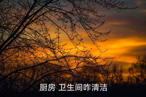  厨房 卫生间咋清洁