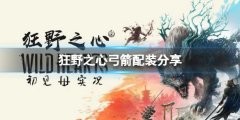 《狂野之心》弓箭怎么配装?弓箭配装分享