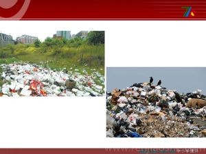 《第11课　废旧物的“新生命”》PPT课件(河北省县级优课).ppt