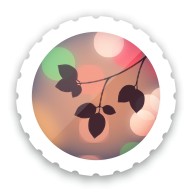 背景虚化app