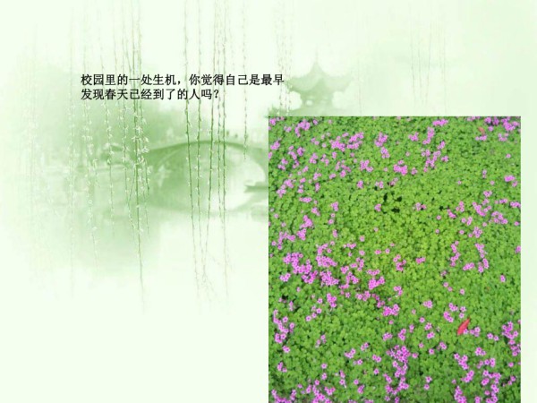 休闲文化,金涛,王文静,陈颖.ppt_第4页
