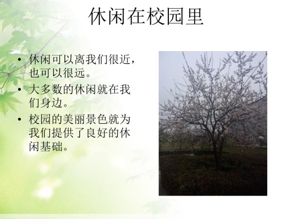 休闲文化,金涛,王文静,陈颖.ppt_第2页