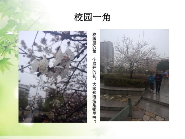 休闲文化,金涛,王文静,陈颖.ppt_第3页