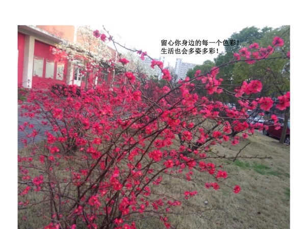 休闲文化,金涛,王文静,陈颖.ppt_第5页