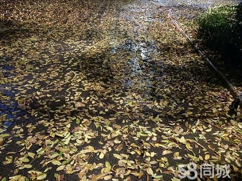 西安美体瘦身·移动美容