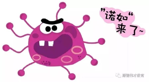 【温岭市级机关幼儿园】防病毒 护健康——诺如病毒预防小贴士-幼师课件网第2张图片